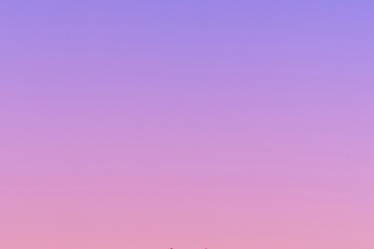 william-bout-288987-unsplash.jpg